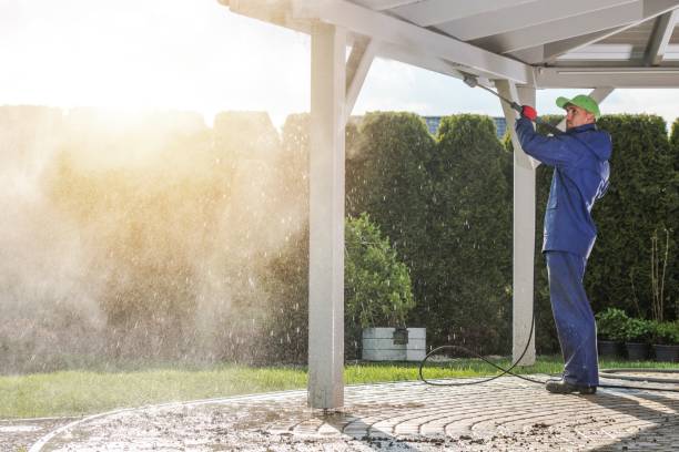 Best Graffiti Removal  in Olivarez, TX