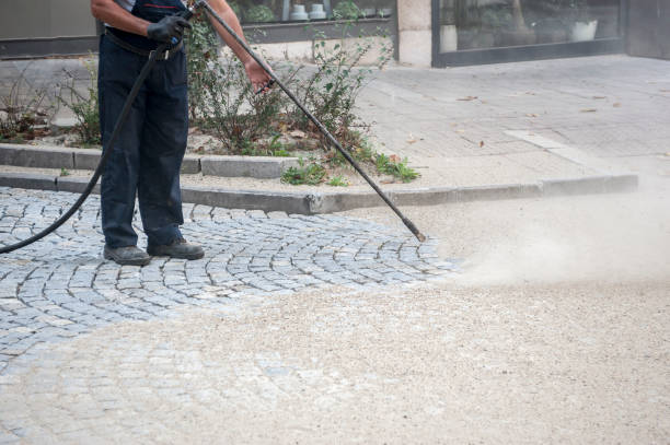 Best Pre-Holiday Cleaning  in Olivarez, TX