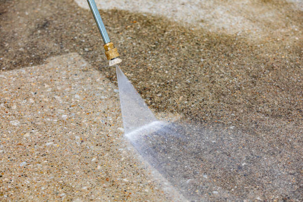 Animal Enclosure Cleaning in Olivarez, TX