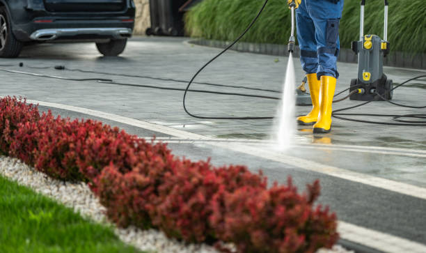 Best Warehouse Cleaning  in Olivarez, TX